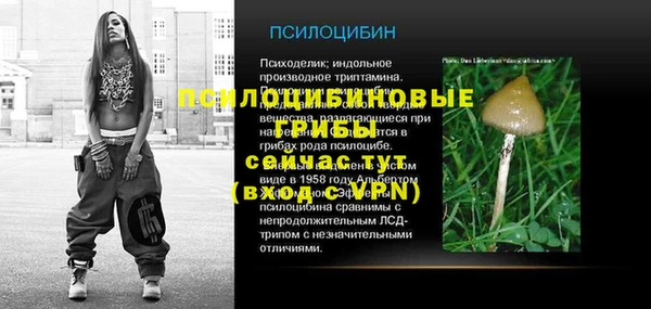 мдма Краснослободск