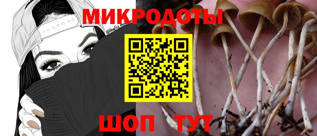 где можно купить наркотик  Псилоцибиновые грибы Cubensis  Вход с VPN  Киреевск 